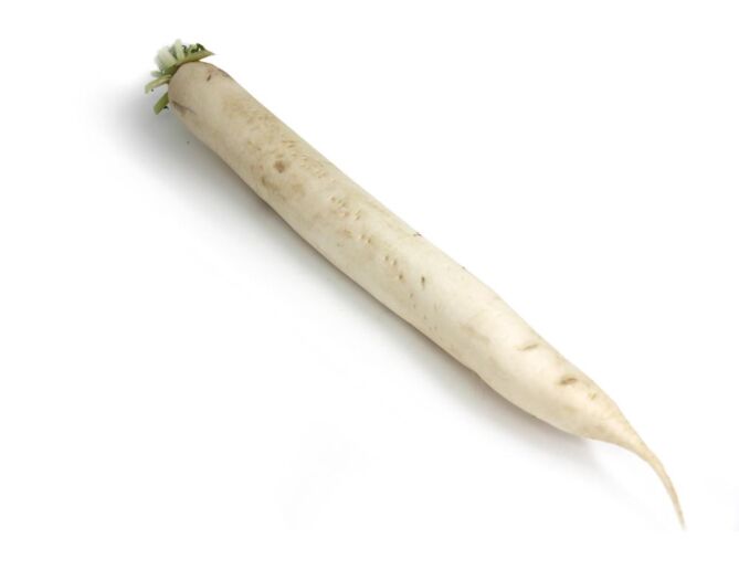 Rettich per stuk