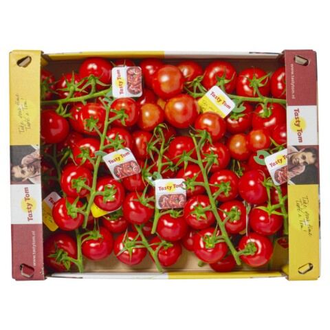 !Tasty tom per DOOS 3,7KG