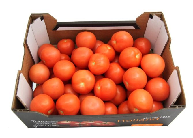 Tomaten per DOOS 6KG
