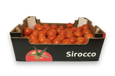 Tomaten C per DOOS 6KG