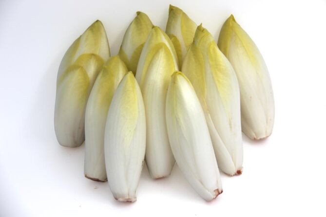 Witlof per kg