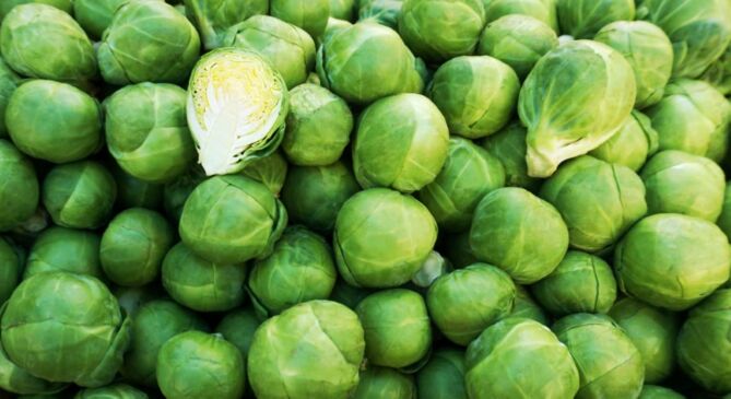 !Super Spruiten C per BAAL 5KG