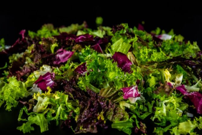 Slamix GESNEDEN per zak 500g