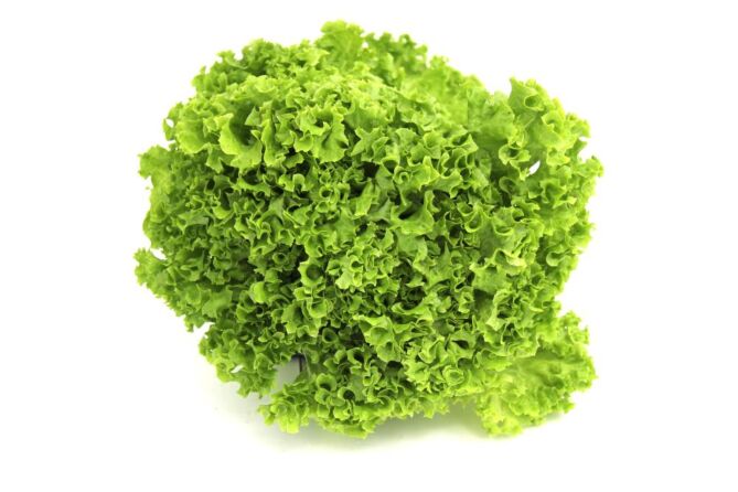 Lollo biondo per stuk