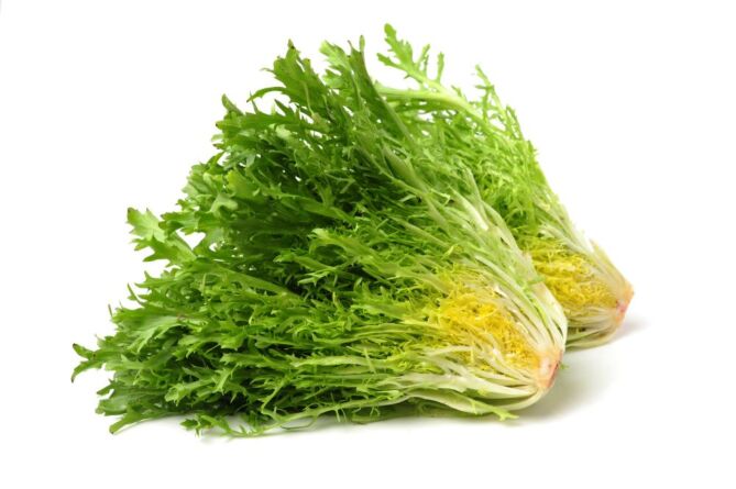 Sla Frisee per KIST X10