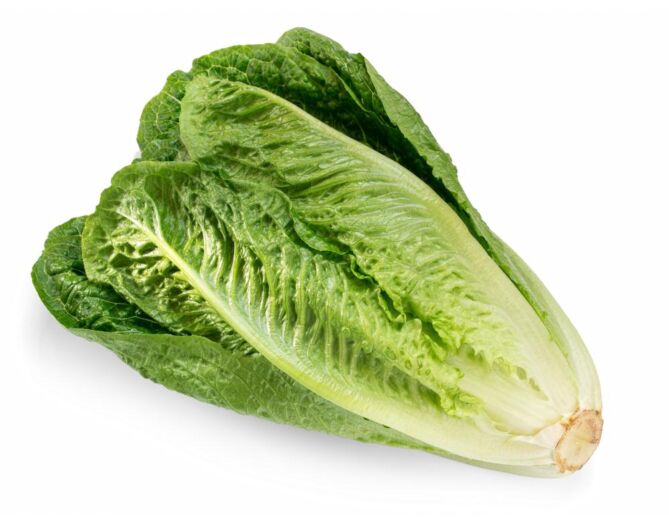 Sla Romaine per DOOS X10