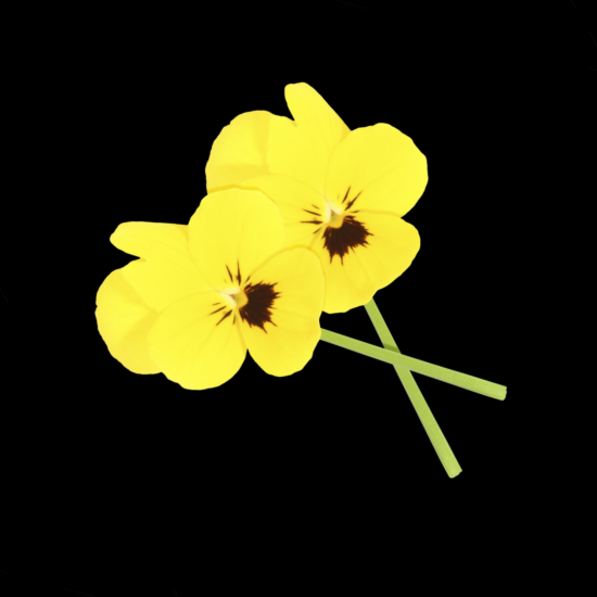 !Cornabria blossom per DOOS 2x50s