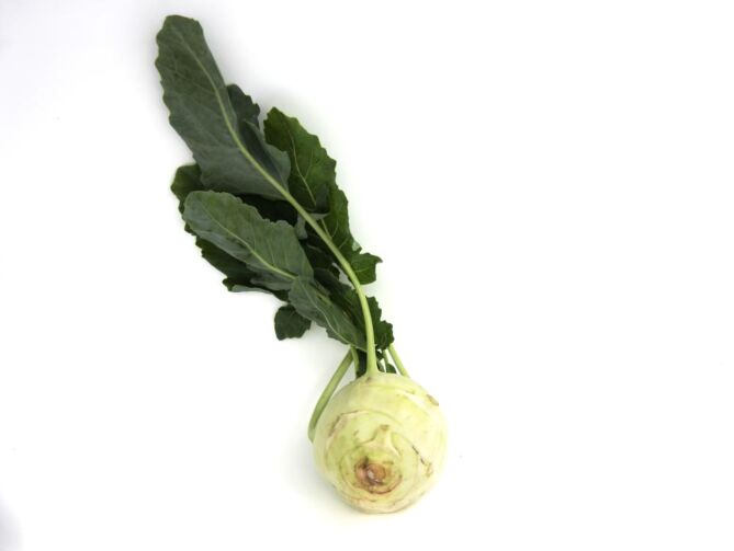 Koolrabi per stuk