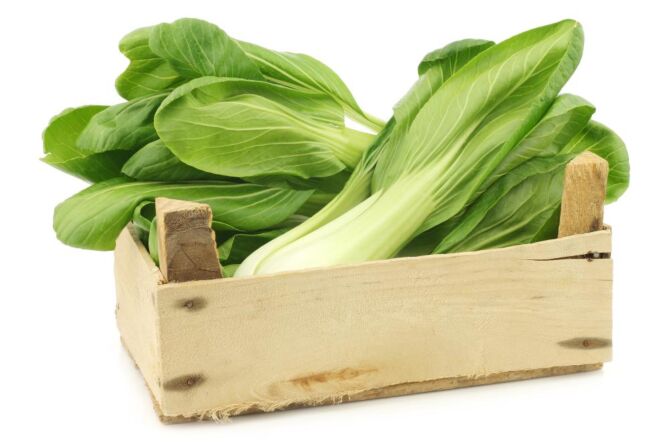 Paksoi Shanghai per KIST 8KG