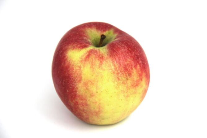 Appel ELSTAR per stuk