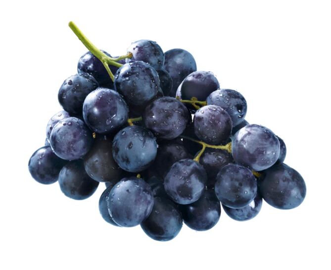Druiven blauw per kg