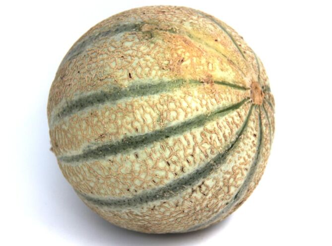 Meloen cantaloupe per stuk