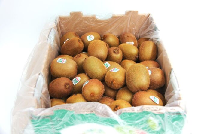 Kiwi per DOOS 10KG