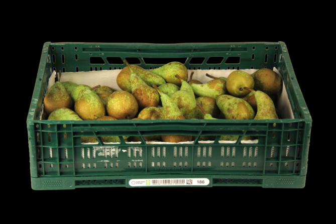 Peren Conference per KIST 14KG