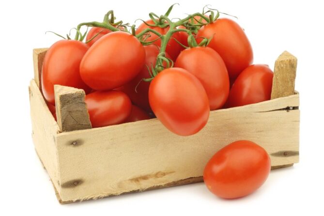 Pomodori TROS per DOOS 5KG