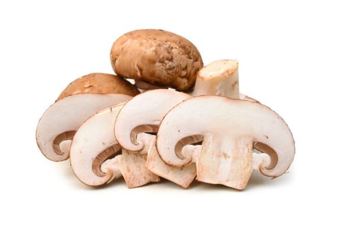 Kastanje Champ. PLAK 3MM per 1kg