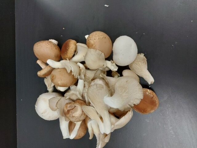 Paddestoelenmix HEEL 1kg