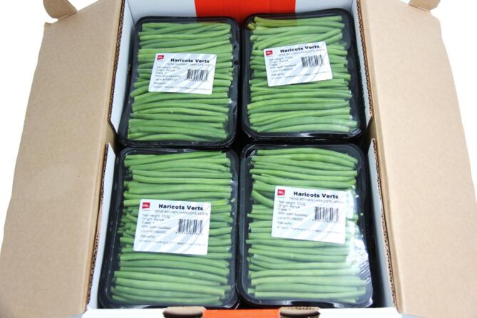 Haricot Verts per DOOS X12