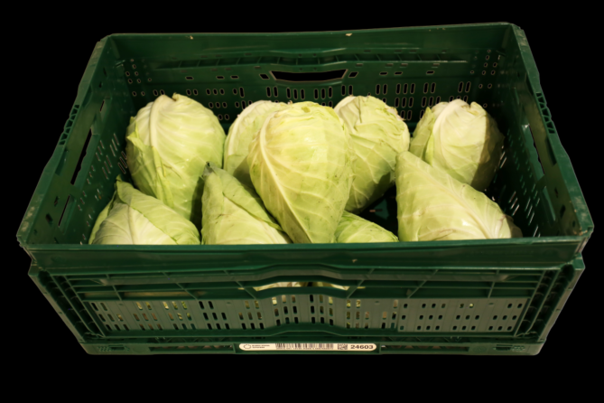 Spitskool per KIST 10KG