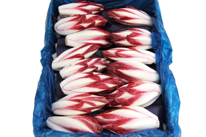 Roodlof per DOOS 2,5KG