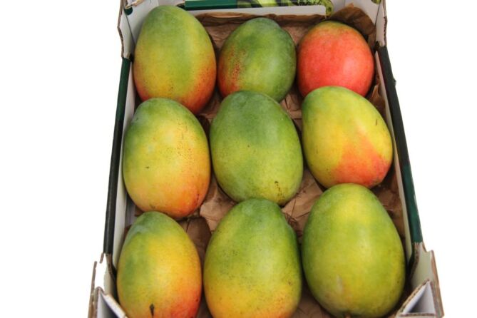 Mango's per DOOS X9
