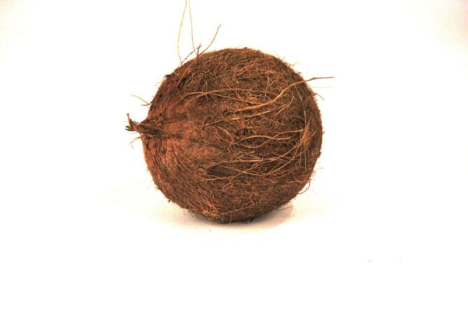 Cocosnoot per stuk