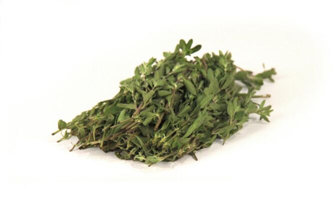!Marjoraan (marjolein) per bos