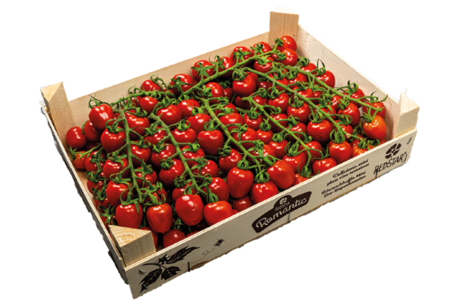 !Pomodori mini(Romantica)KIST 3KG