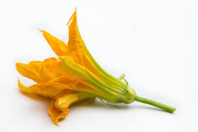 !Courgette FLEUR per STUK