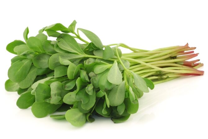 !Winterpostelein per KIST 1KG