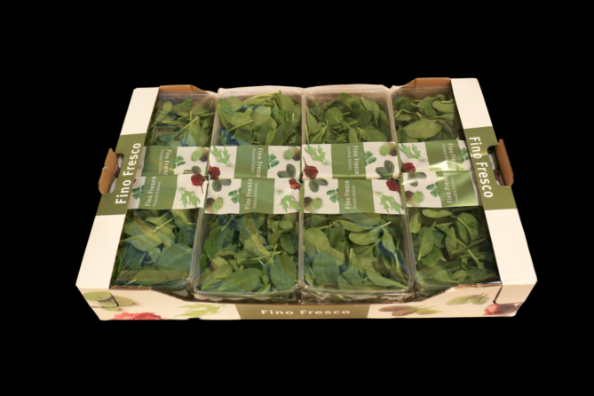 Baby Spinazie per DOOS 8X125G