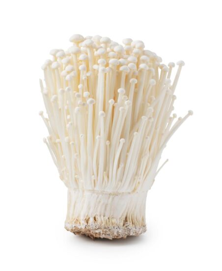 Enokipaddestoel vers per pakje