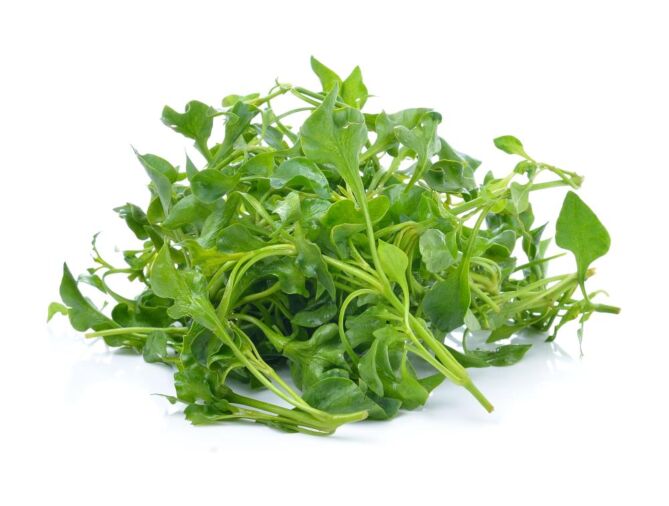 Waterkers FIJN per KIST x10