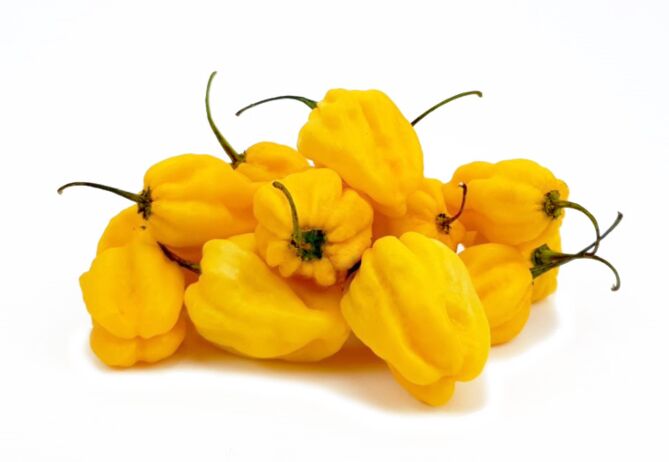 Madame Jeanette geel per kg