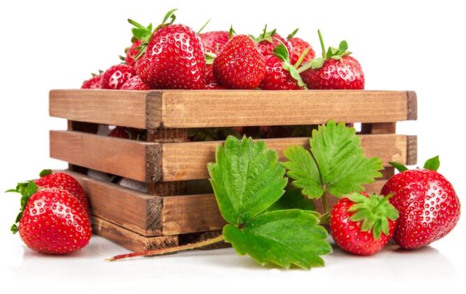 Aardbeien per DOOS 8X500g