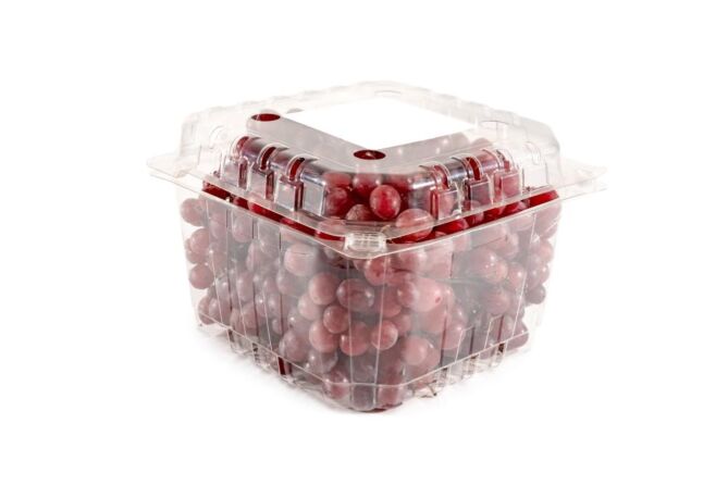 Druiven blauw per DOOS 4,5KG