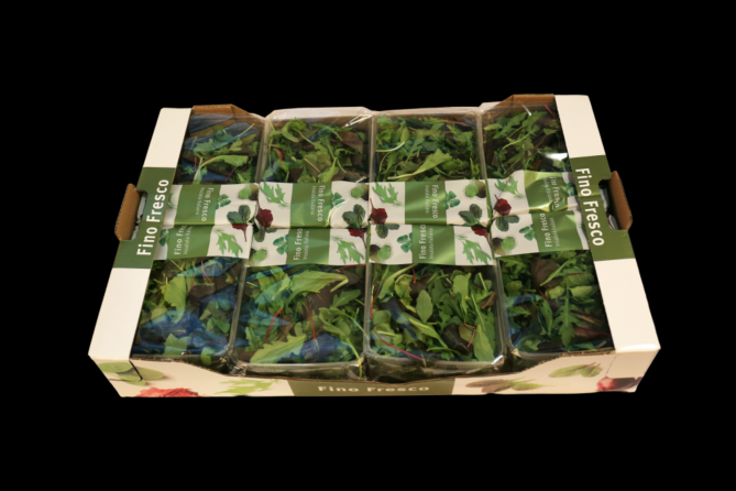 Mesclume sla per DOOS 8X125G