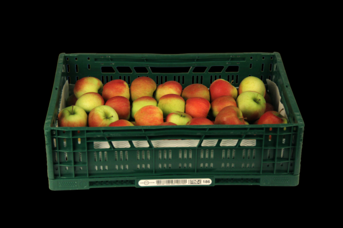 Appel Jona 70/80 Per KIST 11KG