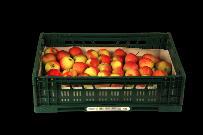 Appel JONA 65/70 per KIST 11KG