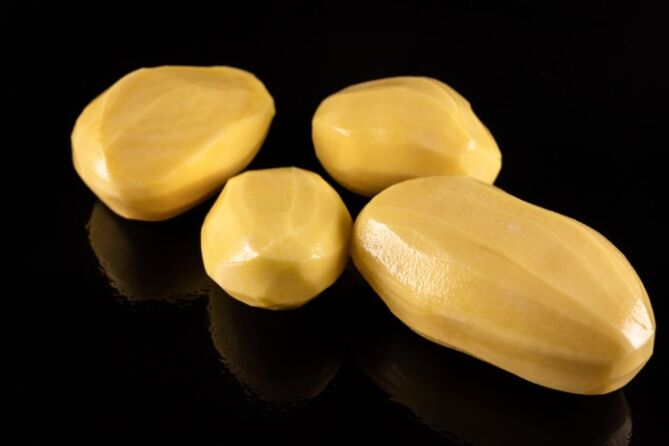 Agria HANDGESCHILD per 5KG