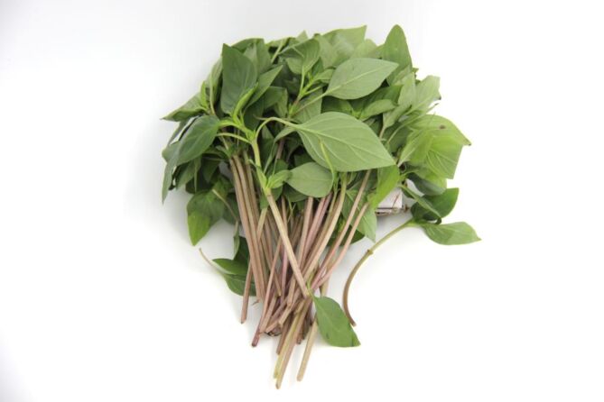 !Thai Basilicum (horapa) per bos