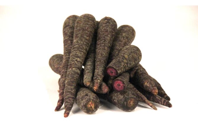 Winterwortel ZWART per kg