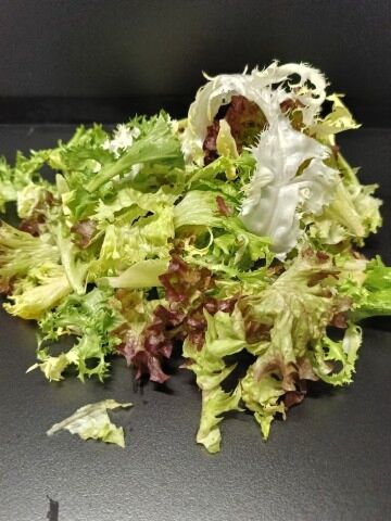 Slamix GEPLUKT per 500g