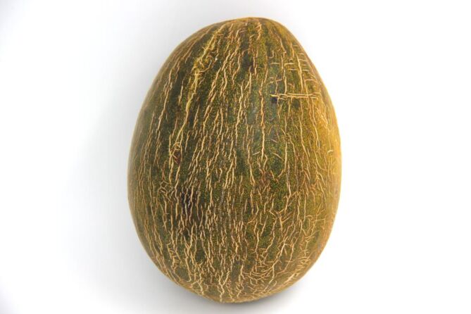 Meloen Piel de sapo per stuk