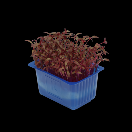 !Cress Scarlett per DOOS X16