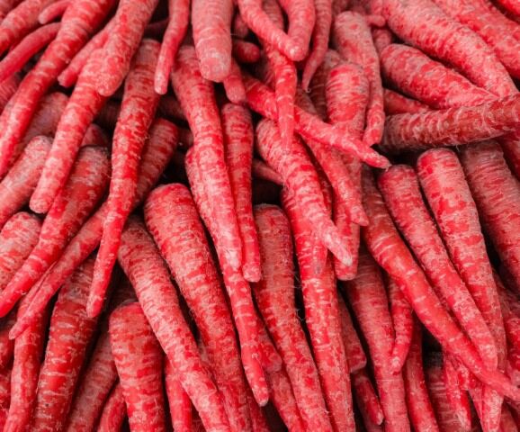 !Winterwortel ROOD per kg