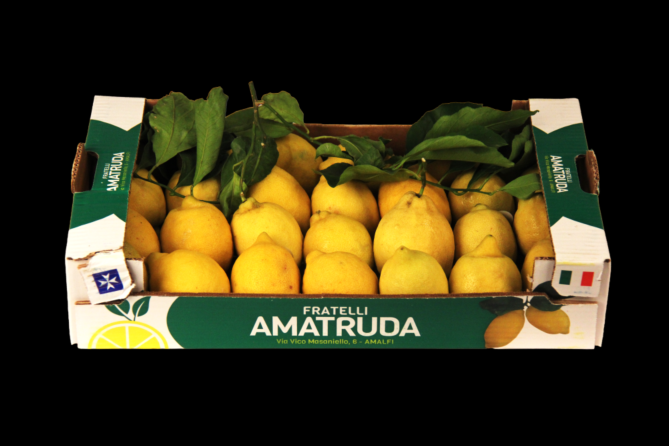 !BIO Citroen(LIMONCEL)DOOS 10KG