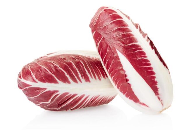 Radicchio PRECOCE per DOOS 3KG