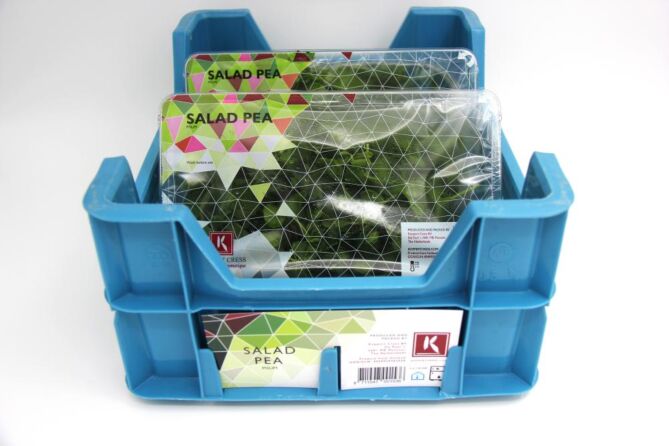 !Salad Pea per DOOS X2 !!!!!!