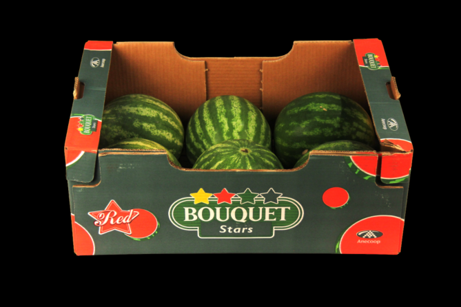 Watermeloen per DOOS X5